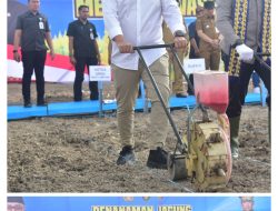 Penanaman Jagung di Lampung Selatan Dorong Ketahanan Pangan Nasional