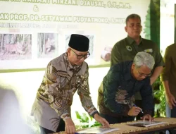 Lampung Punya Muli Sikop! Langkah Keren Jaga Harimau Sumatra Tetap Ada